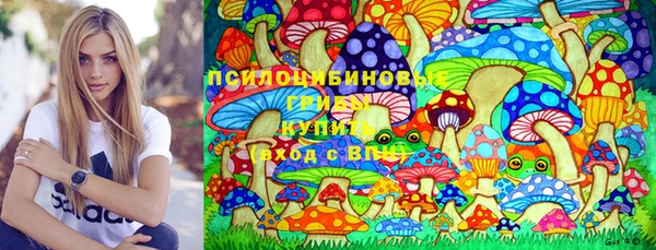 спиды Алексеевка