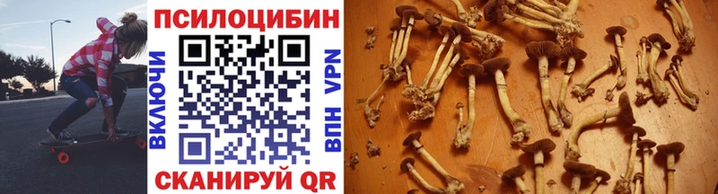 Галлюциногенные грибы Magic Shrooms  Жердевка 